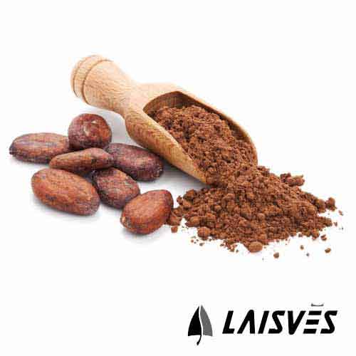 Alkalized cocoa powder (fat 22%)